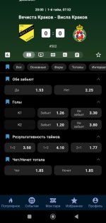 Screenshot_2025-10-02-20-22-56-781_ru.betcity.android-edit.jpg