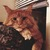 tatarenko15