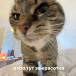 MoyaEdaVoda