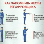 smittivesson