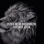 artemka_kote