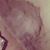 sergey.babushkin
