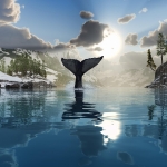 Blue Whale