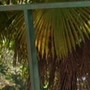 vitaliy.selitskiy