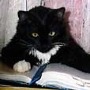 book_05@bk.ru
