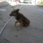 sapar30mkr