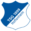 logo Хоффенхайм II