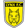 logo Линкс