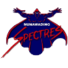 logo Нунавэйдинг Спектрс