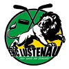 logo Лустенау