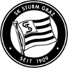 logo Штурм