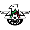 logo Скала Стрый