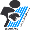 logo Пайкан