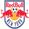 logo Нью-Йорк Ред Буллз II