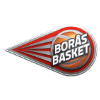 logo Борас