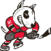 Niagara Icedogs