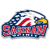 Saginaw Spirit