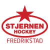 logo Стьернен