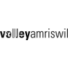 logo Амрисвиль