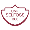 Логотип Селфосс