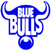 Логотип Буллз