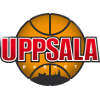 Логотип Уппсала