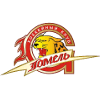 Логотип Гомель