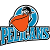 Логотип Пеликанс